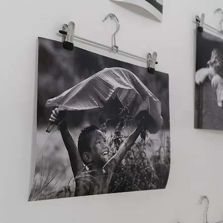 Apartman Center Festival Kolozsvár