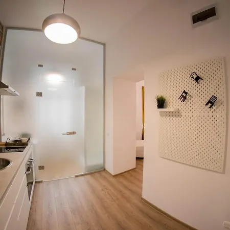 Διαμέρισμα Center Festival Κλουζ-Ναπόκα