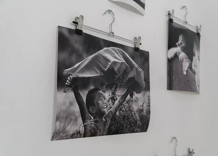 Apartamento Center Festival Cluj-Napoca