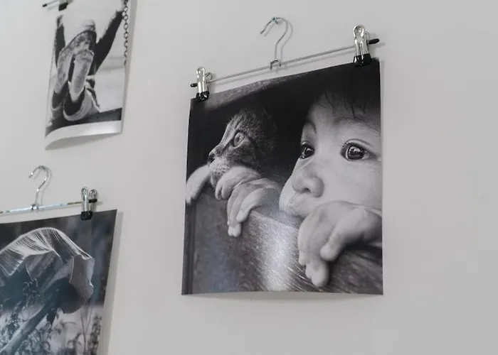 Center Festival * Cluj-Napoca